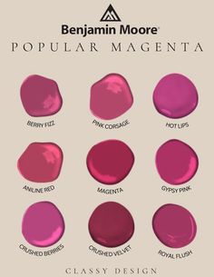 the different shades of lipstick are shown in this graphic style, including pink and red