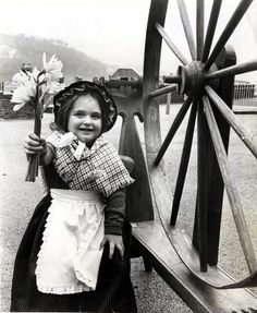 St David's Day: 26 fantastic pictures that show celebrations in Wales through the years - Wales Online Welsh Lady, Wales Uk, Daffodils, Picture Show, Spinning