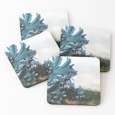 four coasters with blue flowers on them sitting next to each other in front of a white background