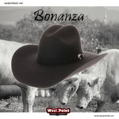 #westpointhats_usa 
It’s on u
#felthat #felhats
#6x to #1000x 
#strawhats #strawhat 
#bonanza 
#westpointhats🤠 
Wapp 4761233084
tienda.westpointhats.com
westpointhats.com 
#cowboyhat #cowboyhats 
#hot #westernstyle Straw Hat, Western Fashion, Cowboy Hats