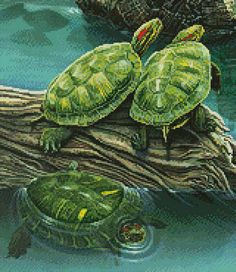 two turtles sitting on top of a log in the water next to another turtle laying down