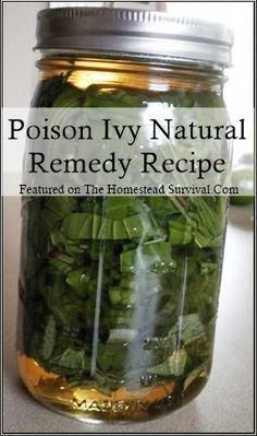 Poison Ivy Natural Remedy Recipe Poison Ivy Remedies, The Homestead, Homestead Survival, Natural Therapy, Homemade Remedies, Natural Remedy, Natural Health Remedies