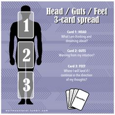 the info sheet for head / guts / feet 3 - card spread