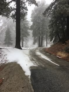 an empty road in the middle of a forest with snow on the ground and trees