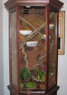 an old fashioned grandfather clock with plants in the front and side panels on the back