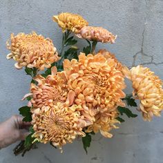 a person holding a bouquet of flowers in front of a gray wall with peeling paint on it