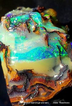 another section of a Koroit Opal Nut Charge Crystals, Rock Minerals