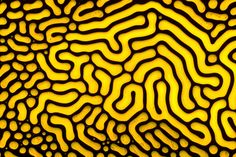 an abstract pattern made out of yellow and black circles on a surface that looks like it is