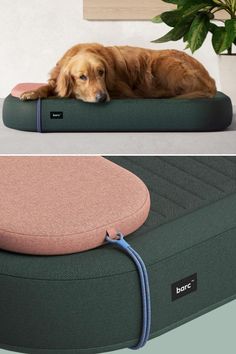 Comfy Bed for Dog Dog Beds Aesthetic, Pet Bed Diy, Aesthetic Dog Bed, Beds Aesthetic, Dog Bed Design, Diy Dog Beds, Dog Bed Diy, Cute Dog Bed, Dog Bed Ideas