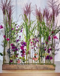 purple flowers and green plants in a wooden planter