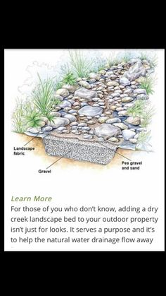 an image of a garden with rocks and grass on it, the text reads learn more for