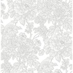 a drawing of flowers and leaves on a white wallpaper with grey outlineing in the background