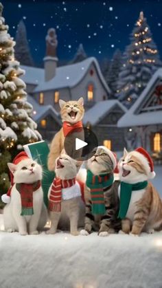 a group of cats wearing sweaters in front of a christmas tree