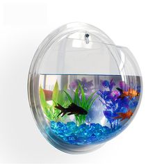 an aquarium filled with lots of different types of fish in it's water bowl