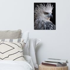 a white bird with feathers on its head