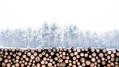 a large pile of logs sitting in the snow