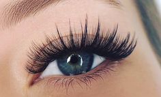 Hybrid Eye Lash Extensions, Lash Extensions Styles Hybrid, Whispy Lashes Extensions, Hybrid Eyelash Extensions Styles, Hybrid Lashes Extensions, Volume Hybrid Lash Extensions, Hybrid Volume Lash Extensions, Dramatic Eyelash Extensions, Hybrid Wispy Lash Extensions