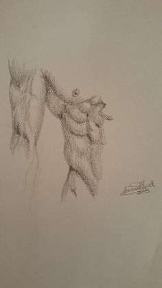 a pencil drawing of a man holding a horse