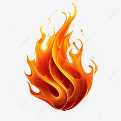 a fire flame on a white background with no background, transparent png and psd