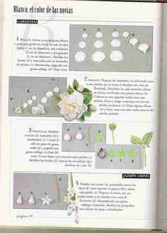 an open book with pictures of flowers and leaves on the pages, in spanish language