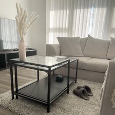 a living room with a couch, coffee table and television