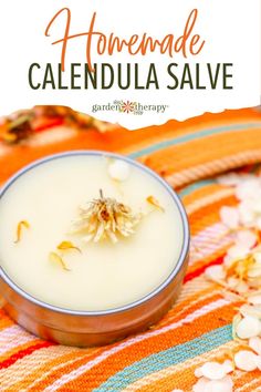 Calendula Balm Salve Recipes, Calendula Salve With Shea Butter, Calendula Cream Recipe, Calendula Salve Recipe, Calendula Recipes, Calendula Cream