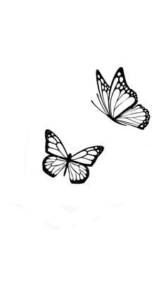 two butterflies flying side by side on a white background, one is black and the other is white