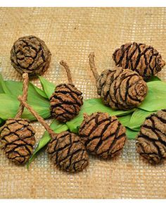 pine cones and leaves are arranged on a burlock