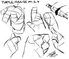 some sketches of the turtle hands