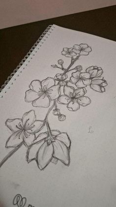 a drawing of some flowers on a sheet of paper