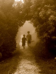 two people walking down a path in the middle of some bushes and trees on a foggy day