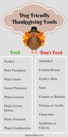 a thanksgiving menu with the words, dog friendly thanksgiving foods and don't feed