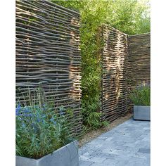 an outdoor garden area with plants and concrete planters on either side of the fence