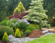 the garden is full of colorful flowers and trees