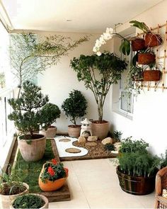 an outdoor patio with potted plants and rocks