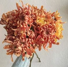 a vase filled with orange and yellow flowers on top of a table next to a wall