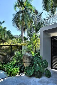 a planter sitting in the middle of a garden next to a fence and palm trees