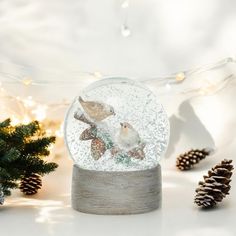 Resin & Glass Snow Globe with Birds on Twig - 4-3/4-in - Mellow Monkey Holiday Toys, Table Shelf, Creative Co Op, Mirrored Furniture, Snow Globe, Candle Gift, Mirror Decor, Snow Globes, The Holiday