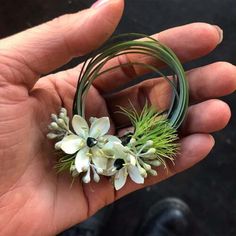 a person's hand holding some white flowers and grass