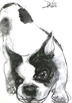 a drawing of a dog with black and white spots on it's face, looking to the side