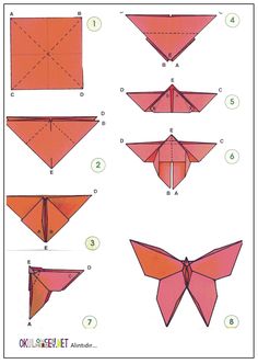 how to make an origami butterfly with pictures on the side and instructions for it