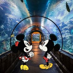 two mickey mouses are standing in front of an aquarium tunnel with fish swimming around