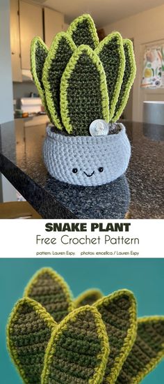 two crocheted pots with plants in them and the words snake plant free crochet pattern