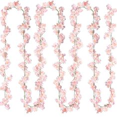 pink flowers are arranged in rows on a white background