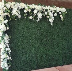 white flowers and greenery on the side of a building