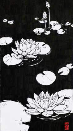 an ink drawing of water lilies and lily pads