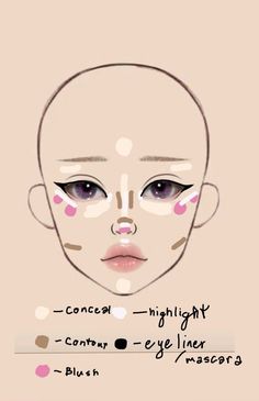 Makeup Based On Face Shape, Makeup Charts Face, Crazy Makeup Ideas