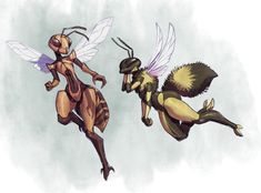 two different types of insect with wings