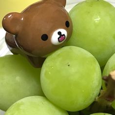 a teddy bear sitting on top of grapes in a white bowl with green grapes around it