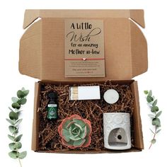 an open box with some items in it and greenery on the side, including a succulent